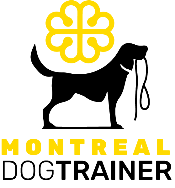Montreal Dog Trainer